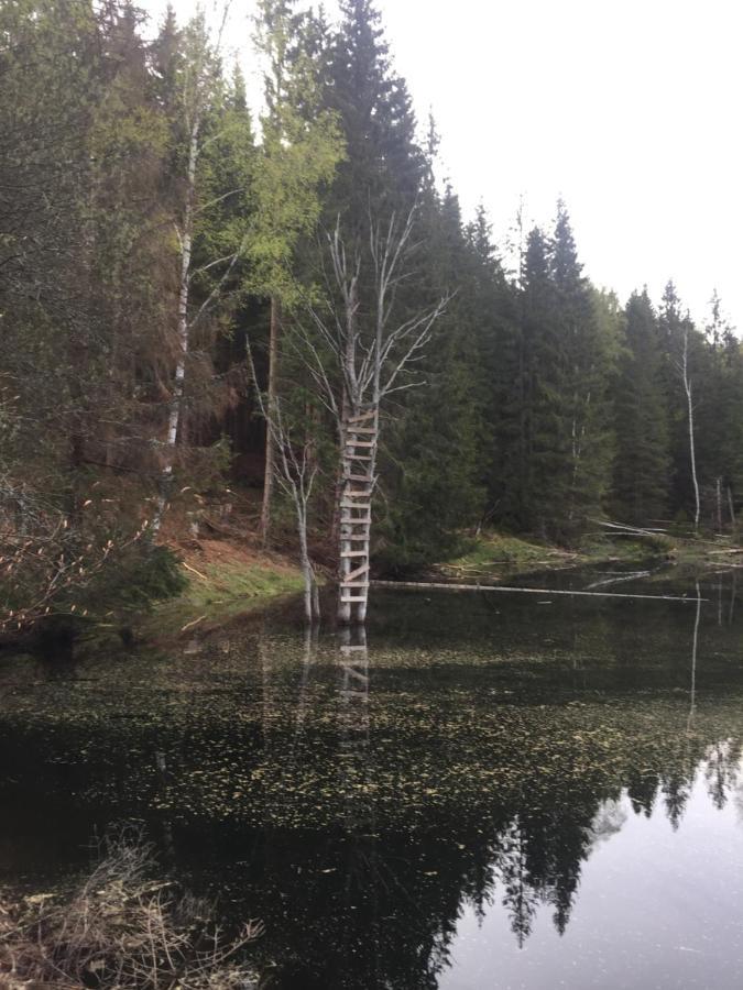 Apartmán “U nás v podkroví“ v Rezidenci Klostermann, Železná Ruda 24 Exterior foto